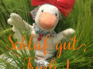 Cover Hörspiel Schlaf gut, liebe Trudi - Trudi liegt im Feld